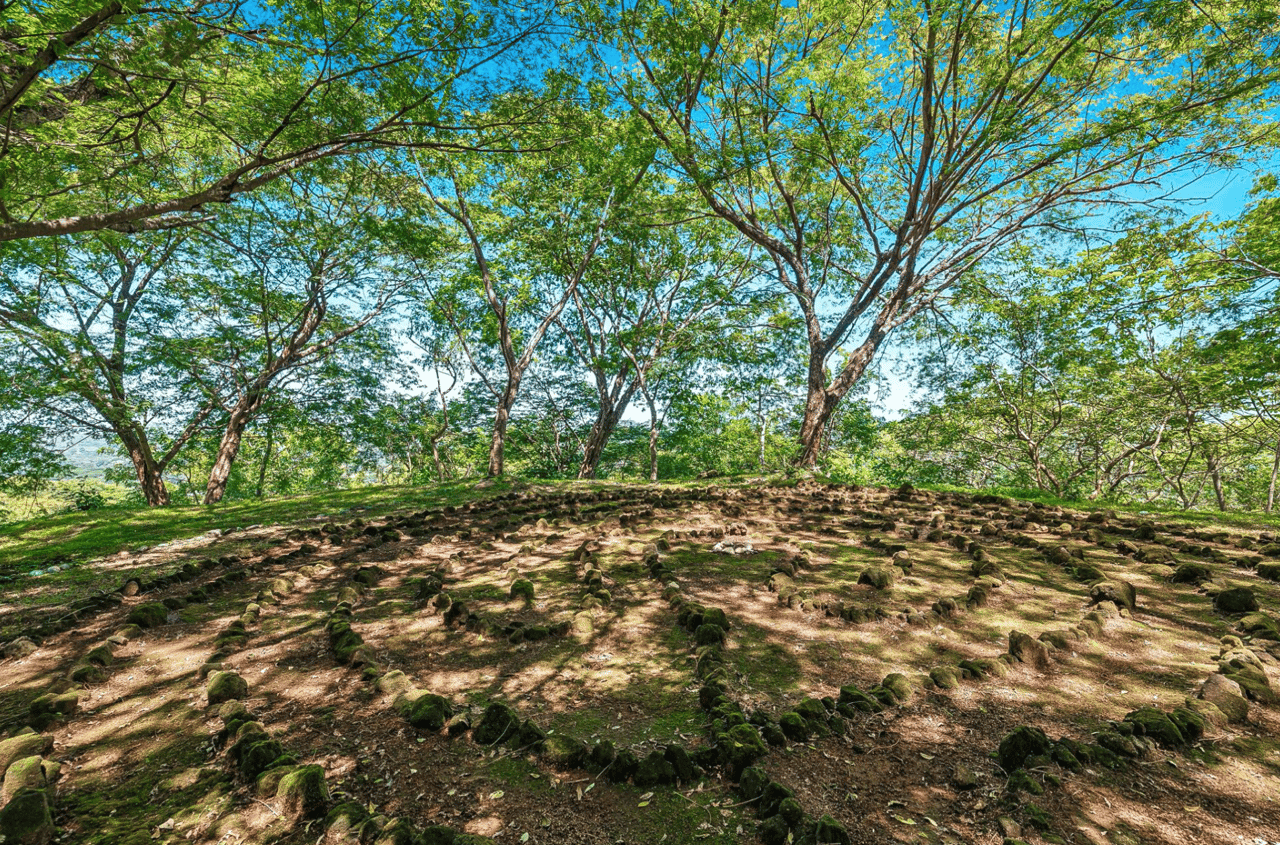 Mountain Oasis Retreat - 4 Acre Oceanview - Tamarindo