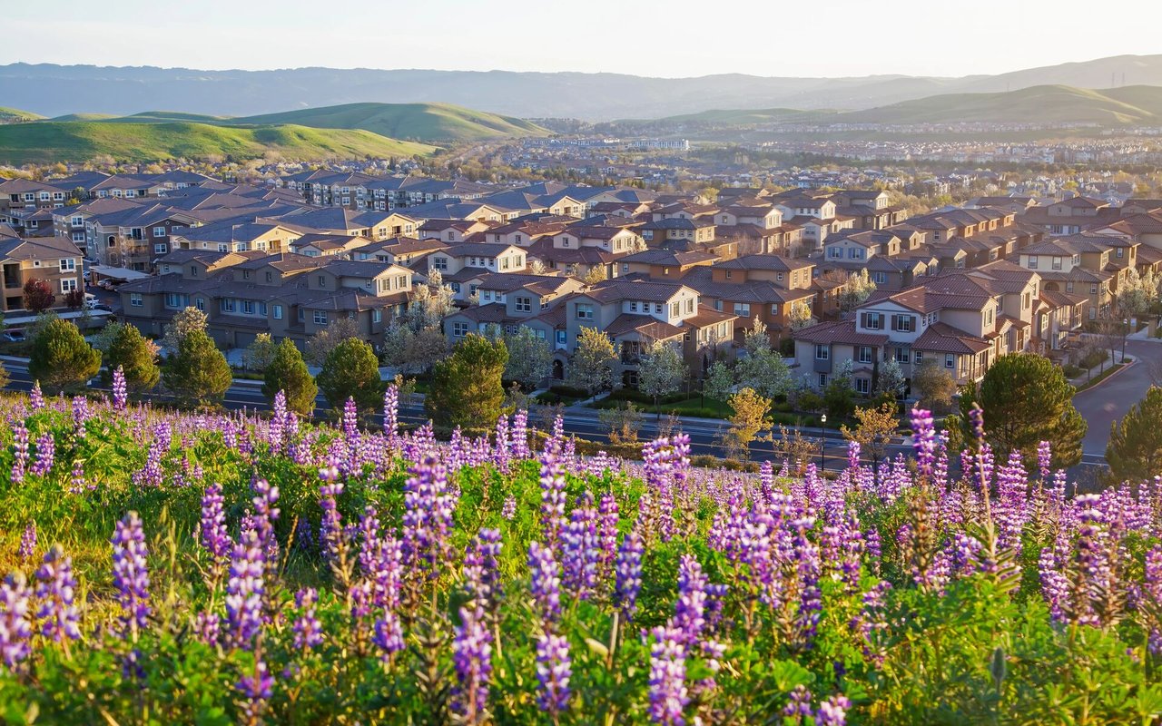 San Ramon | Neighborhood Guide | Brik Real Estate Inc.
