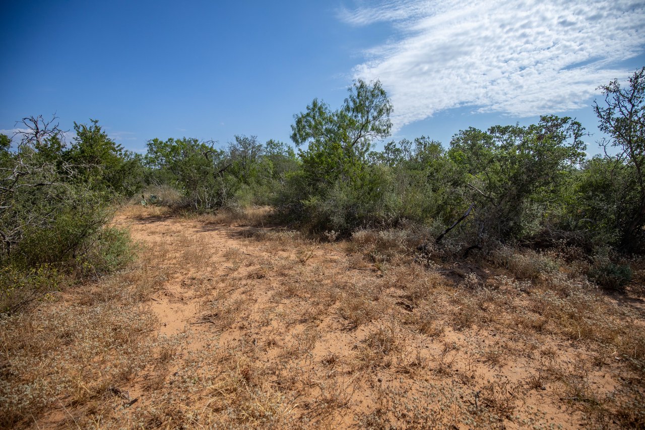 Oaks, Wildlife, & the Quiet of the Countryside | 26.99± Acres | Poteet, TX
