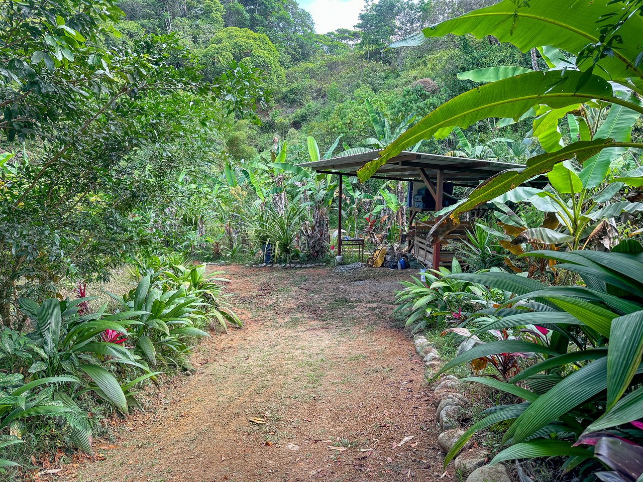 Tinamastes Costa Rica Property with Home, Yoga Deck & Land