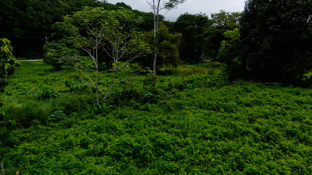 Strategic 5000sqm Commercial Property in Uvita: Perfect for any Business Vision