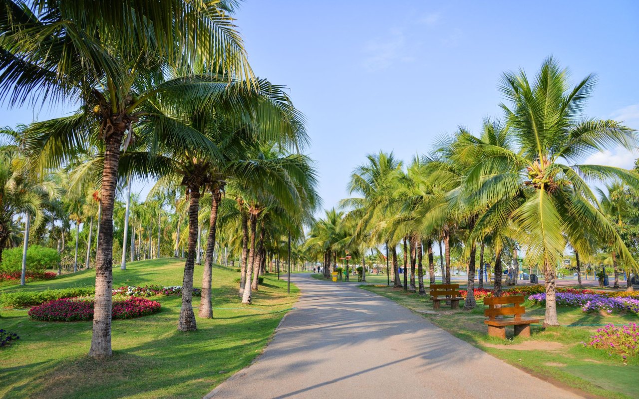 Flamingo Park