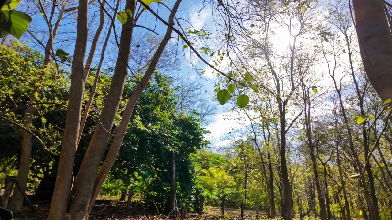 Las Melinas Sanctuary