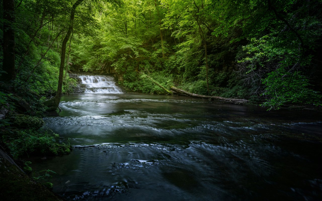 Coffee County