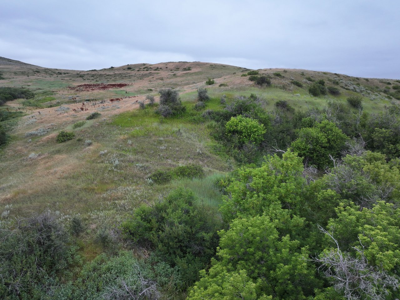 Dutch Creek Ranch 
