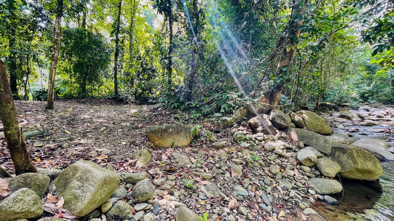 5.32-Acre Riverfront Property with Multiple Homes & Expansion Potential, The Possibilities are limitless!
