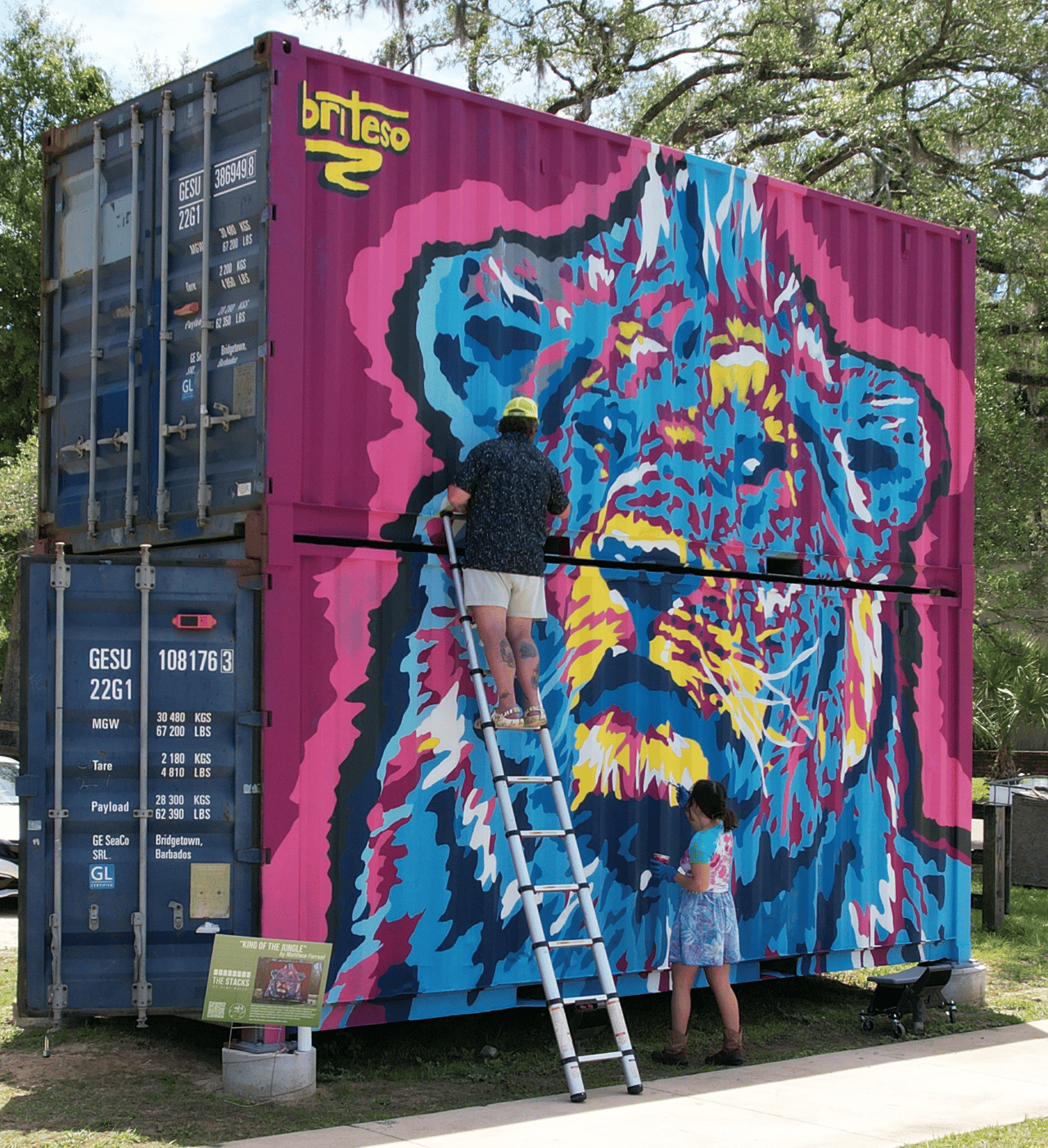 SOMO Walls Art in Tallahassee, FL