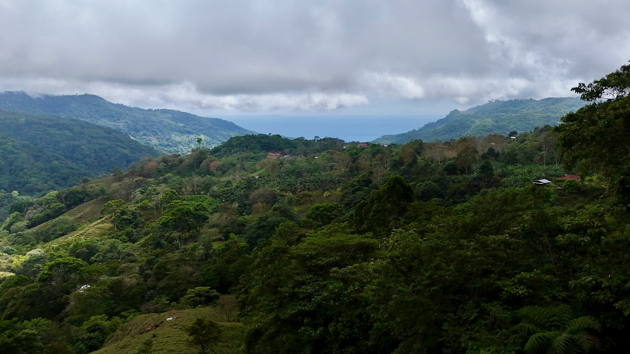 Gorgeous Land in San Luis Morete - Uvita - Over 17 Acres