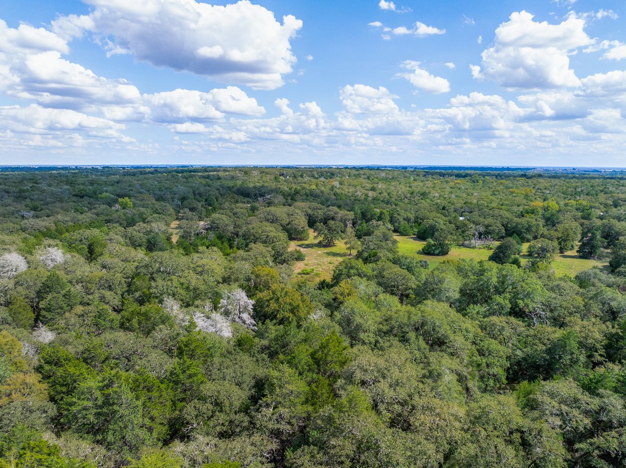 Acreage Estates on Pauline