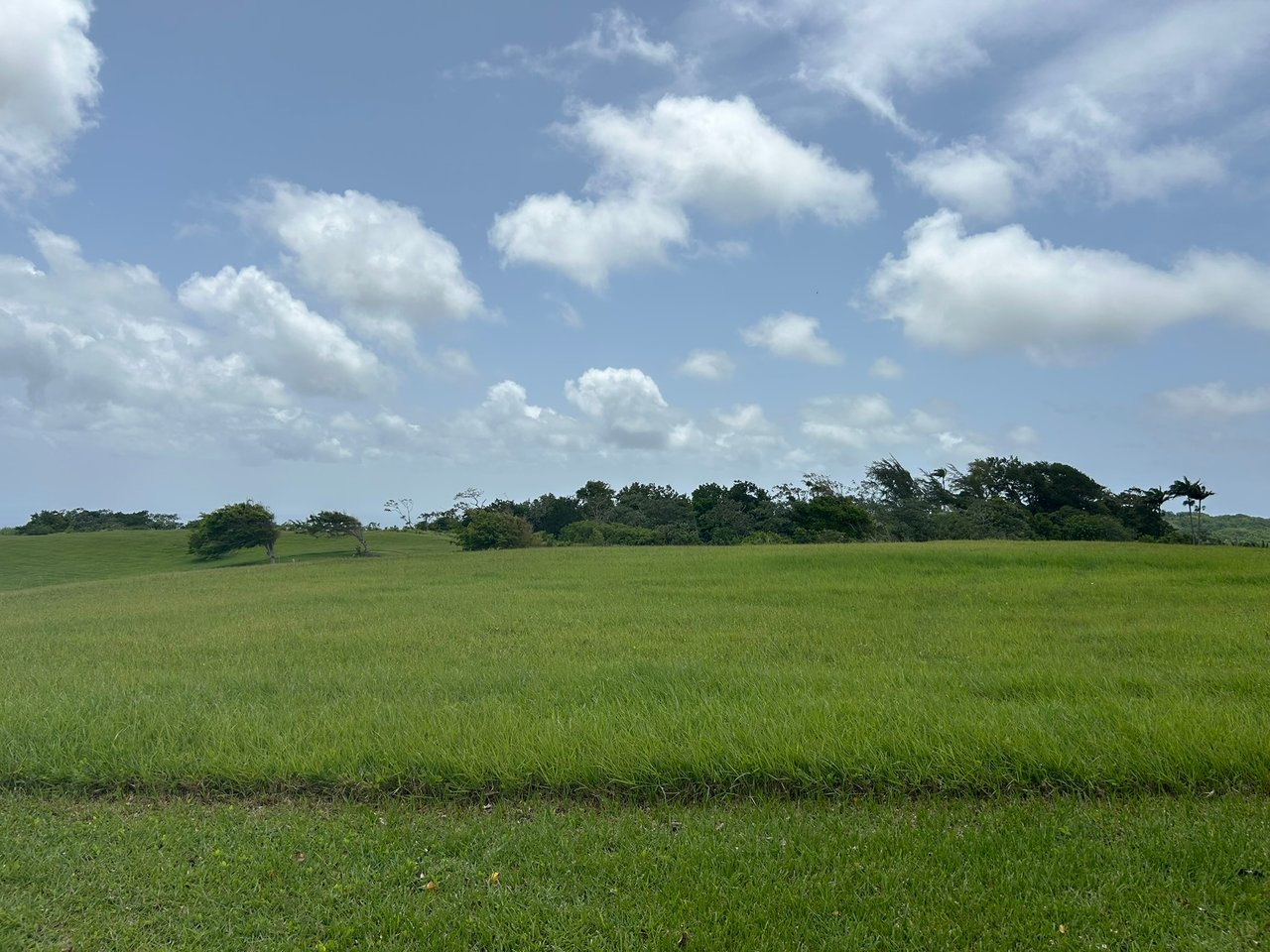 Apes Hill, Holders Meadow, H16