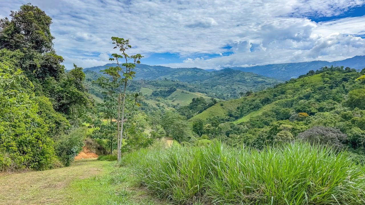60+ Hectares in Platanillo | Own Your Own Mountain in Costa Rica