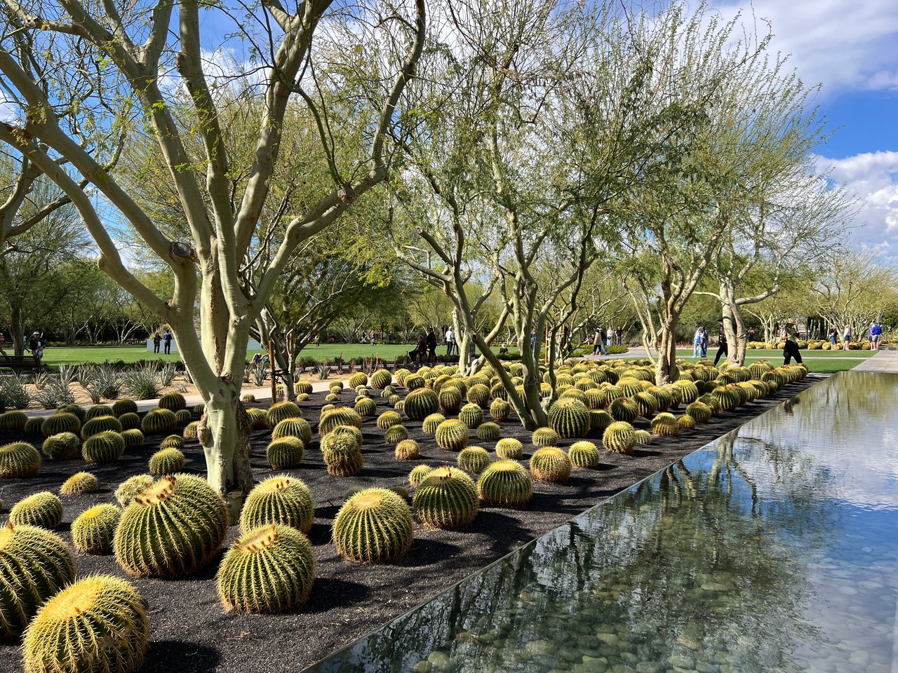Sunnylands Reopens: A Rancho Mirage Treasure to Explore