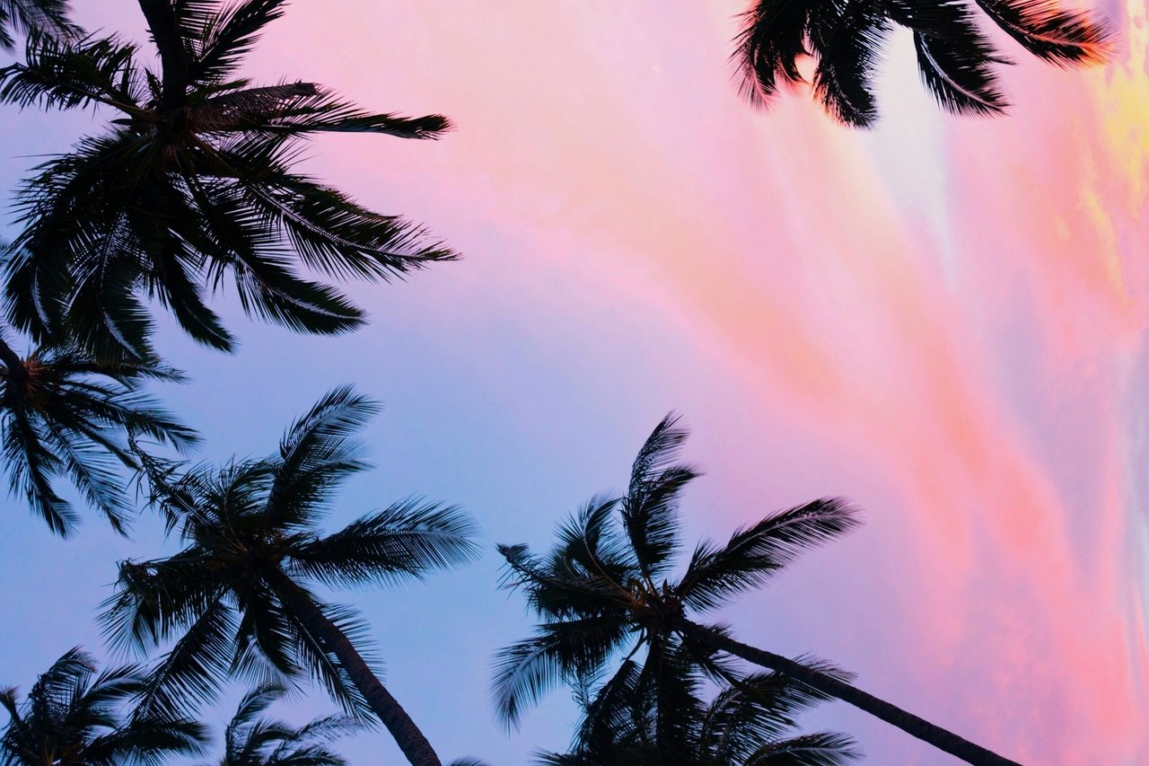 November 2025 Market Update