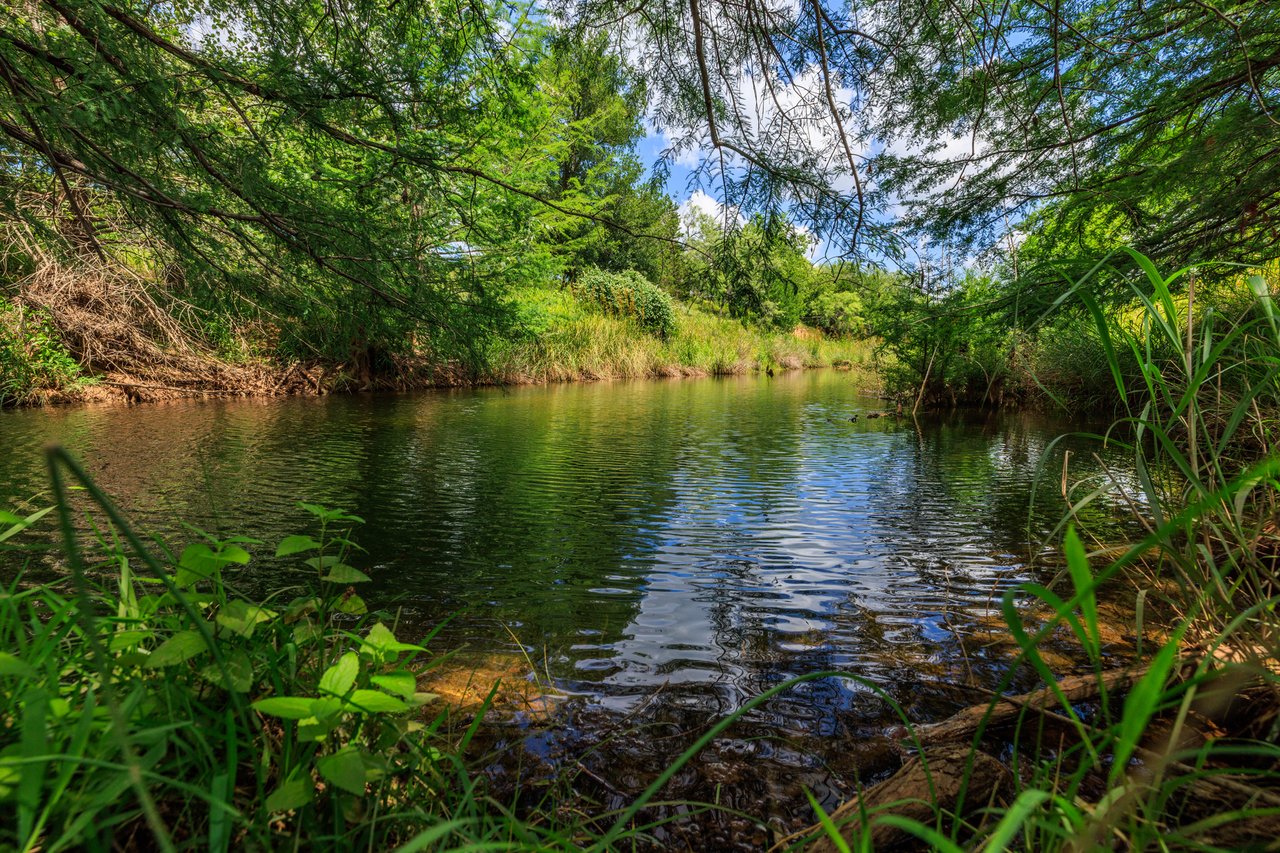 Live Oak Creek Ranch 