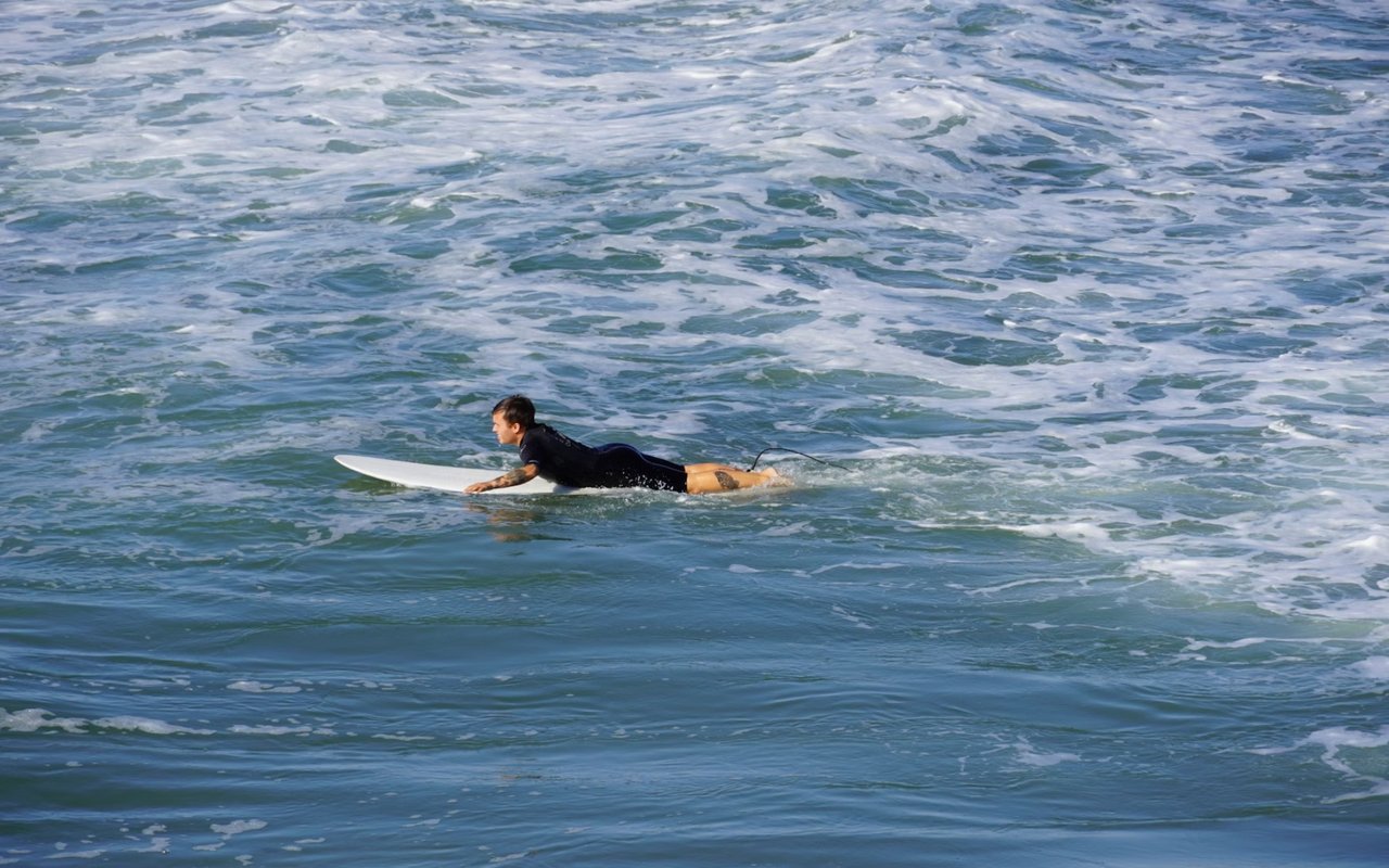 Things to Do in Palm Coast, FL