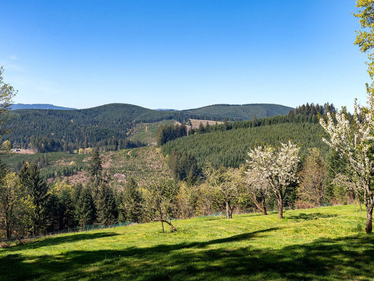 45045 NW ELK MOUNTAIN RD