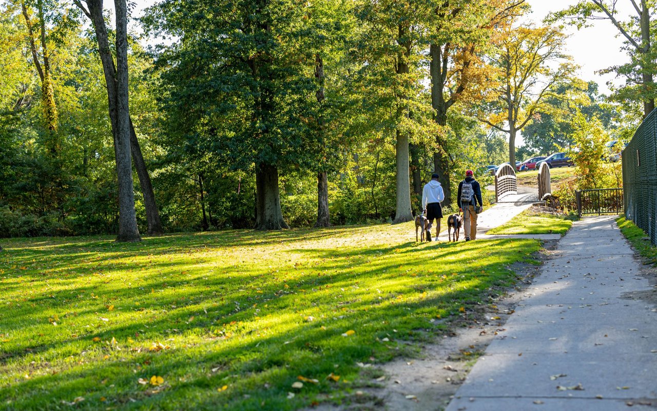 Dufferin Grove