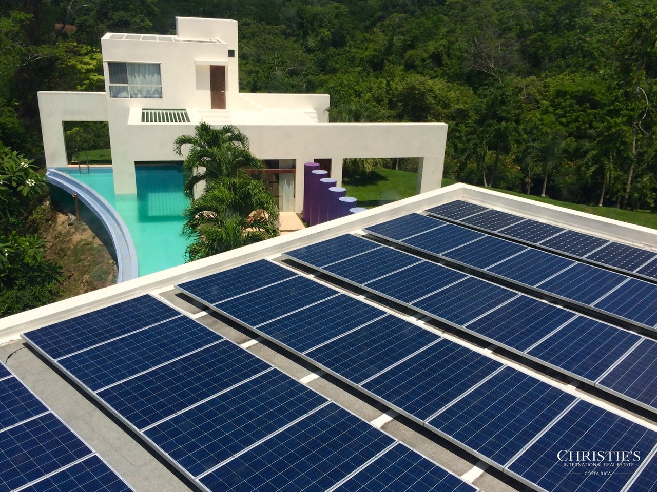 Jungle and Ocean Architectural Masterpiece