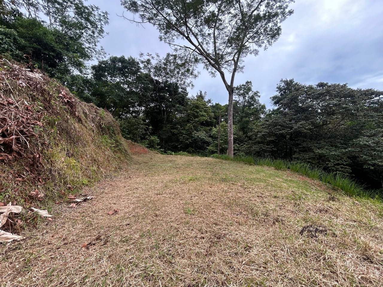 Beautiful Lot in Phase 9 Ojochal, Gated Communuity - NOW WITH LEGAL WATER
