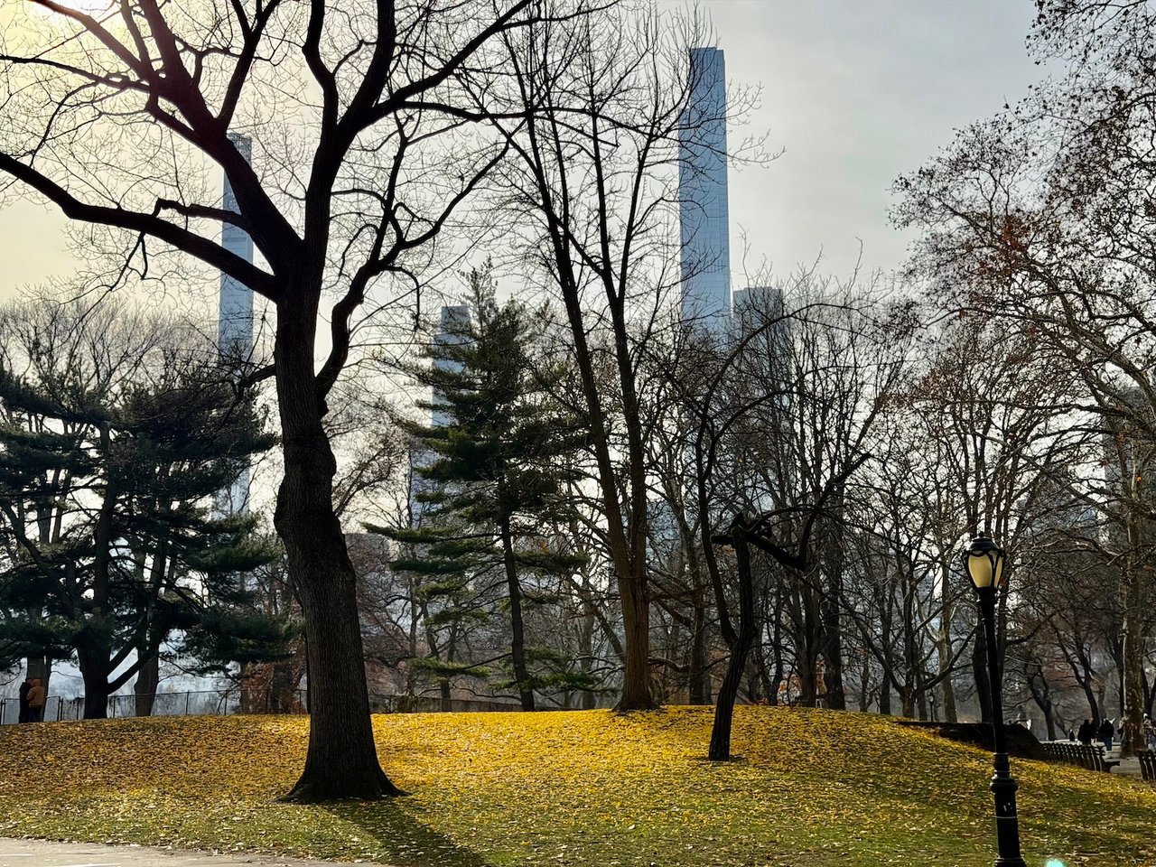 Weekly Manhattan and Brooklyn Market Update: 1/26