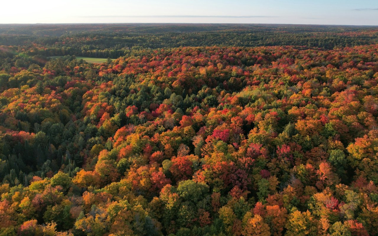Danbury