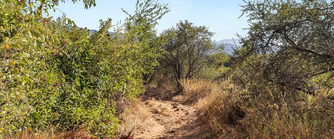 Discover Ojai: A Trail Runner's Paradise