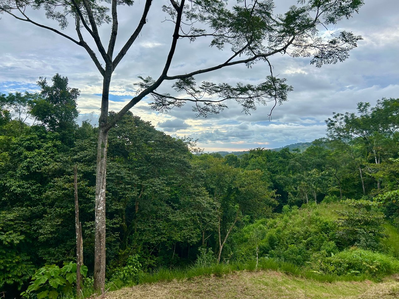 Beautiful Lot in Phase 9 Ojochal, Gated Communuity - NOW WITH LEGAL WATER
