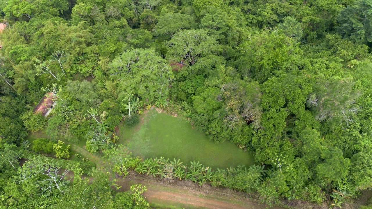 Waterfall Retreat with Casita & Build-Ready Lot in Cascada Azul, Baru
