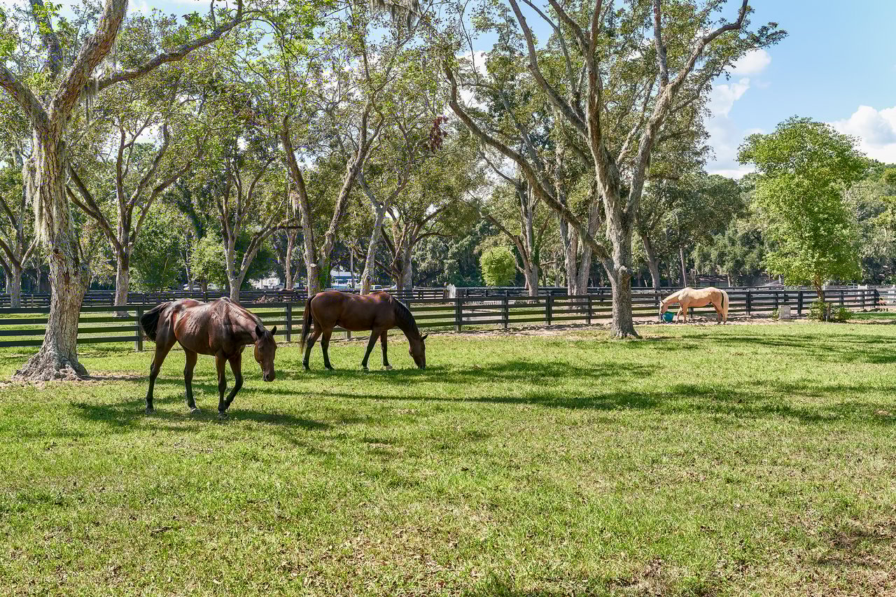 The Ultimate Guide to Selling Your Home in Moss Creek, SC