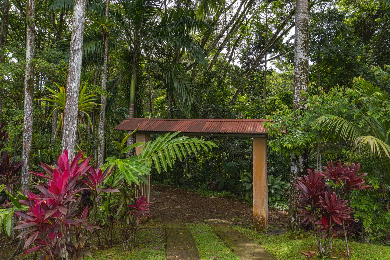 Serene Costa Rican Jungle Retreat with Waterfalls & Wildlife