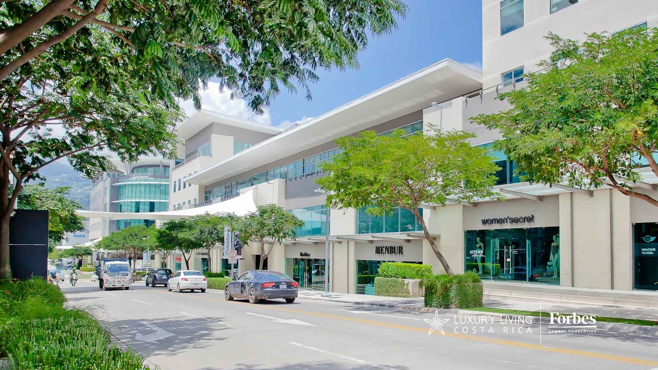 Modern white-and-glass buildings line a landscaped street beneath large shade trees.