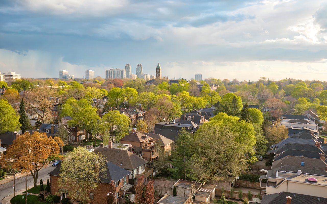 Forest Hill