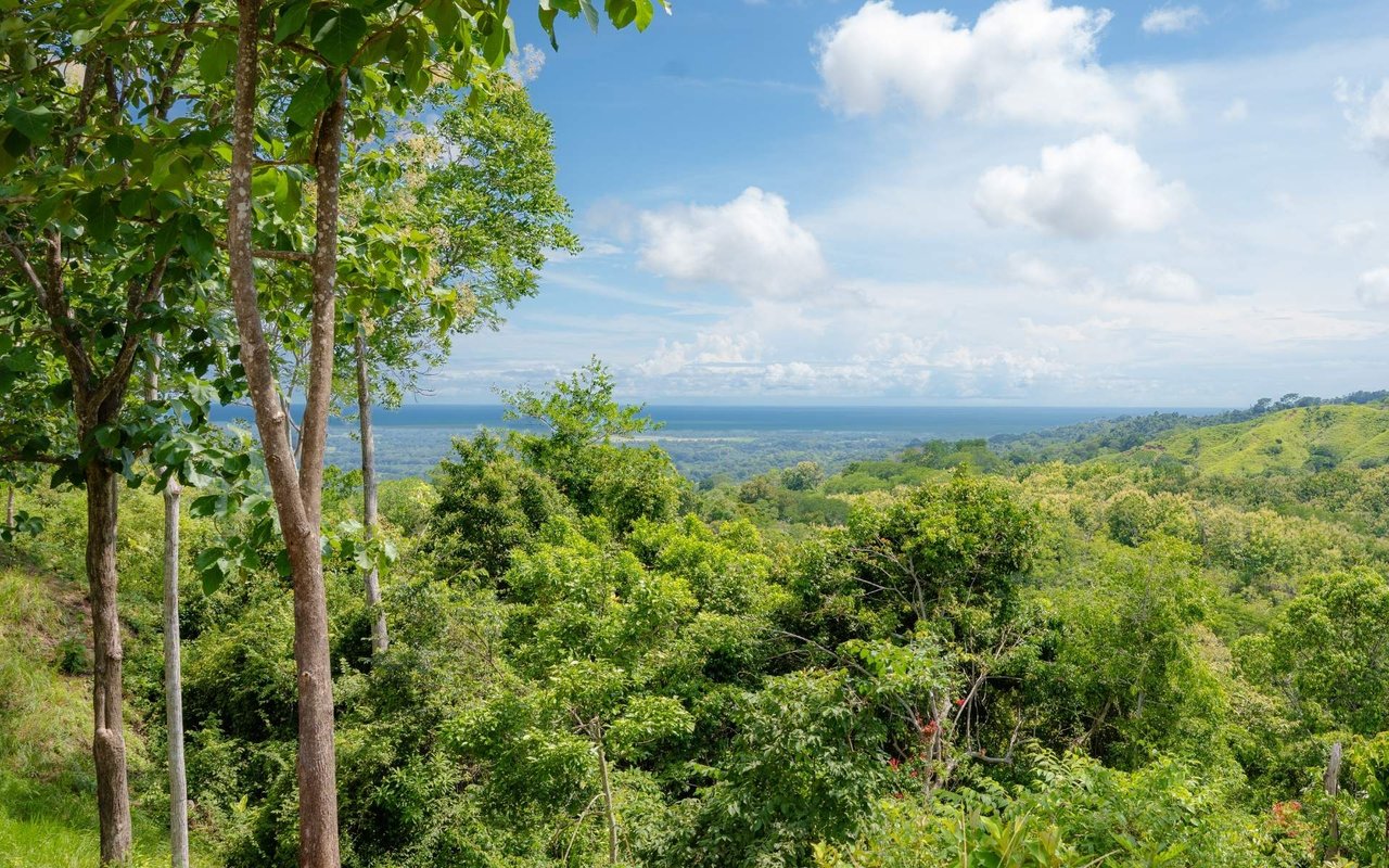 Ocean View Ridge Farm | 135-Acre Estate Near Playa Hermosa, Jacó