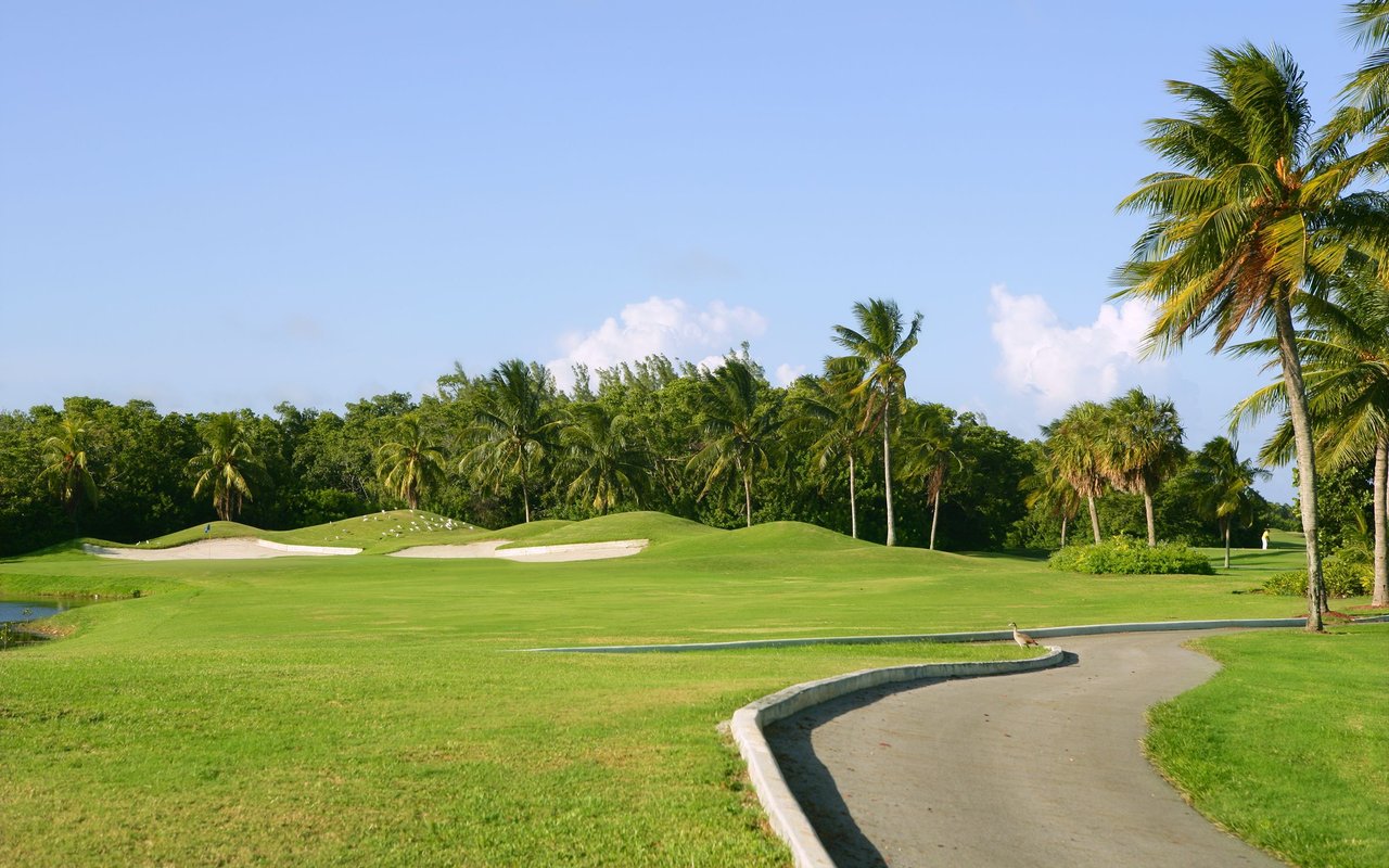 Amelia National