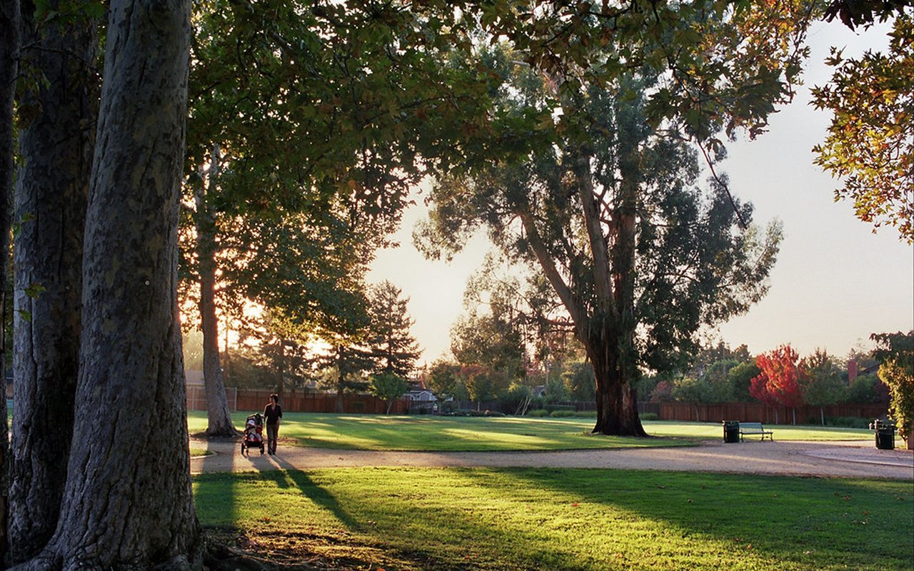 Palo Alto