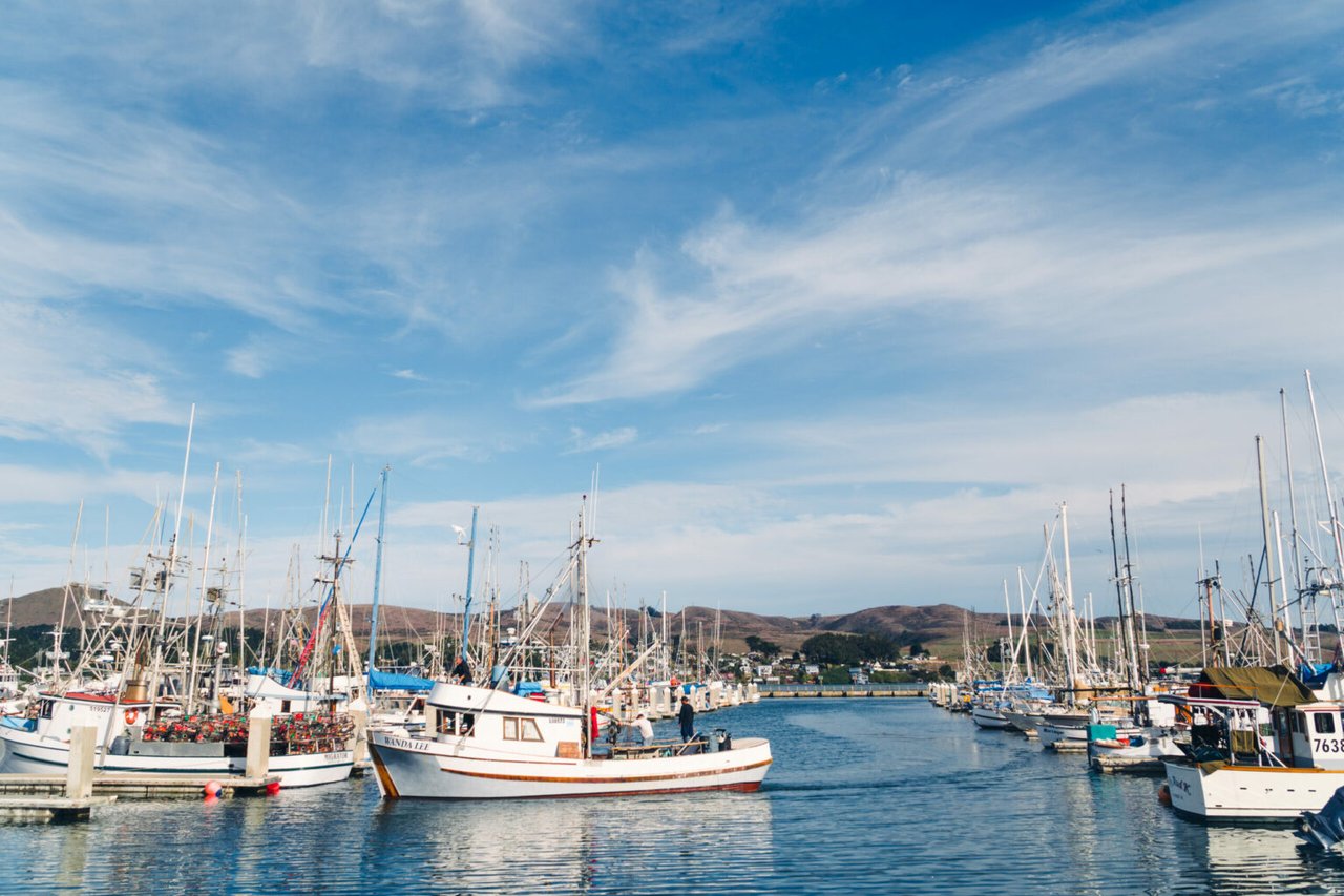 The Quiet Village of Bodega Bay Is the Best Small Town for Relaxation