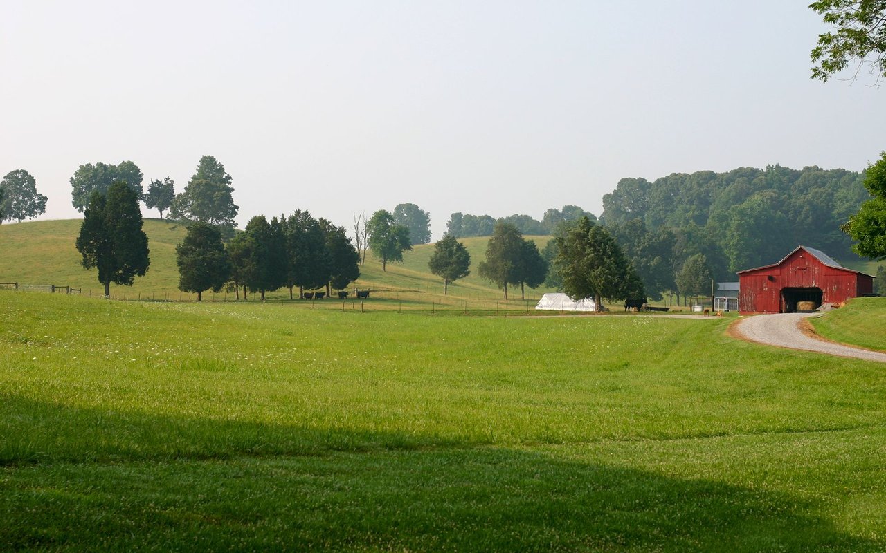 Spring Hill