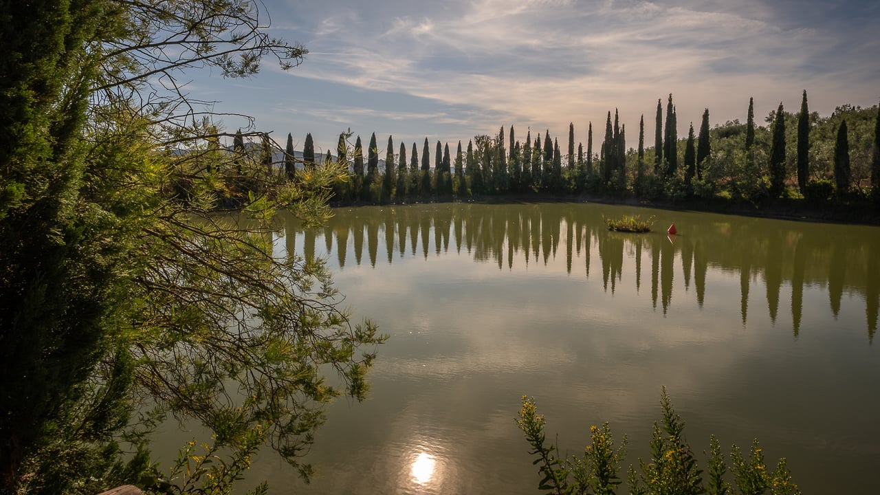 IL LEONE DEL FIORA