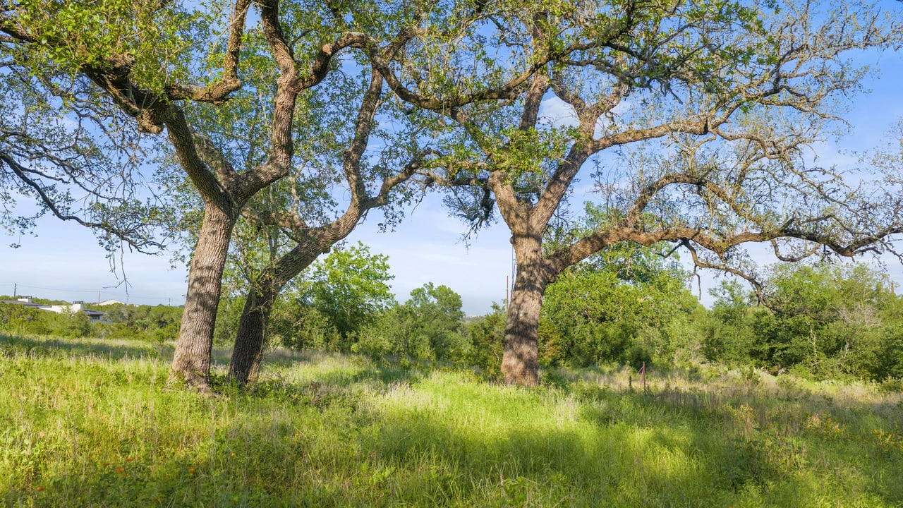 5311 Spring Preserve Trl LOT