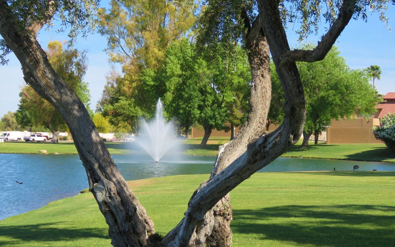 Tanglewood