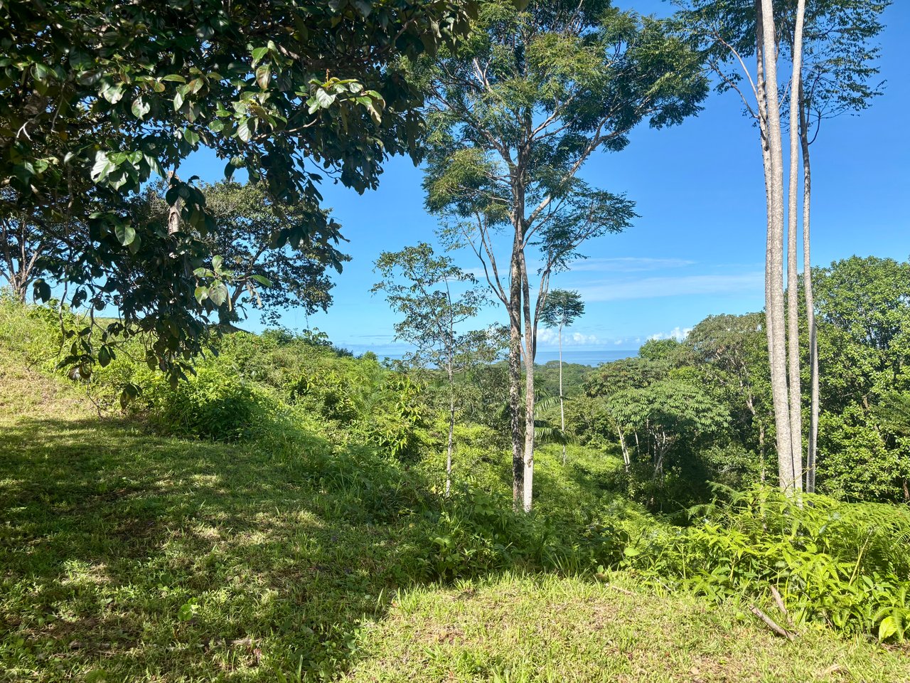 Majestic Expansive Mountain Backdrop