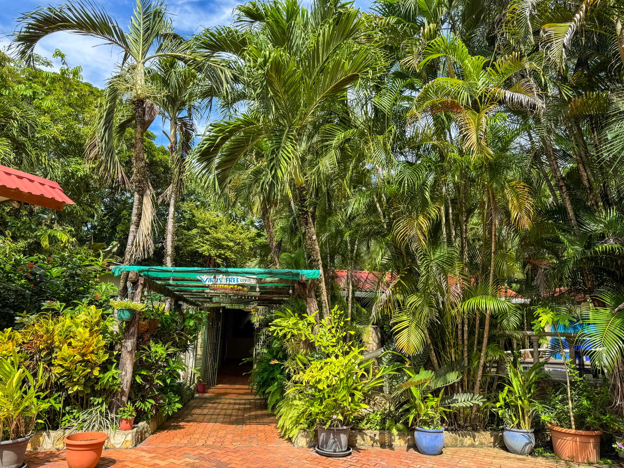 Sueño Del Mar | A Beachfront Estate on Baker’s Beach, Playa Guiones, Nosara