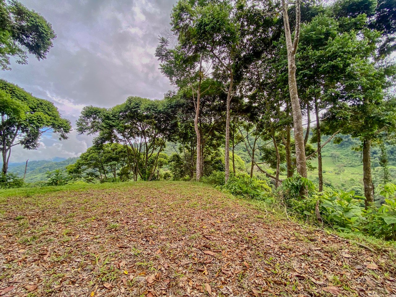 59.35 ACRES- Ocean And Mountain View Land, 6 Building Areas, Legal Water, Public Road, 20min From Beaches!!!