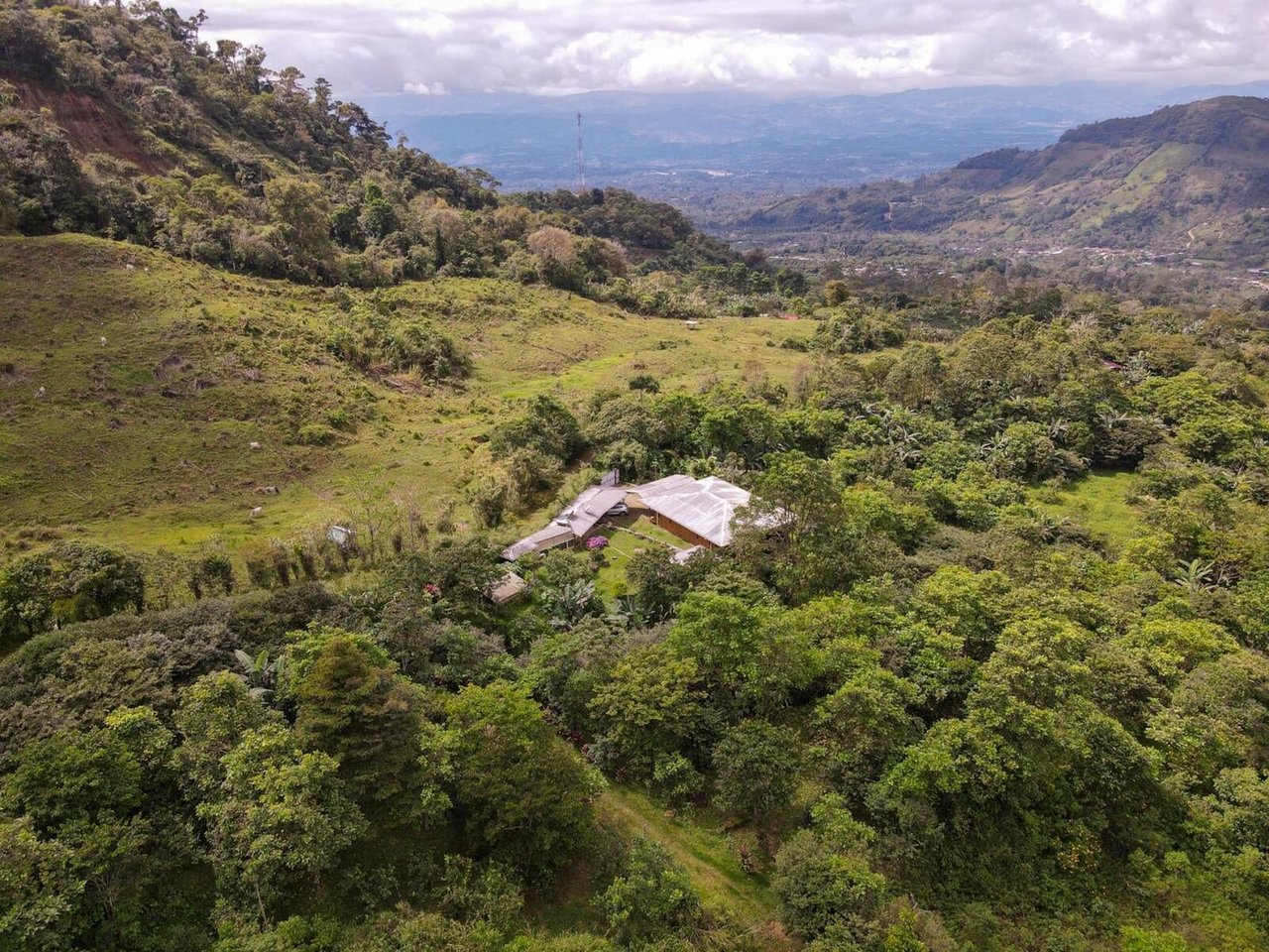 Sustainable Organic Mountain Farm, Perez Zeledon, San Jose