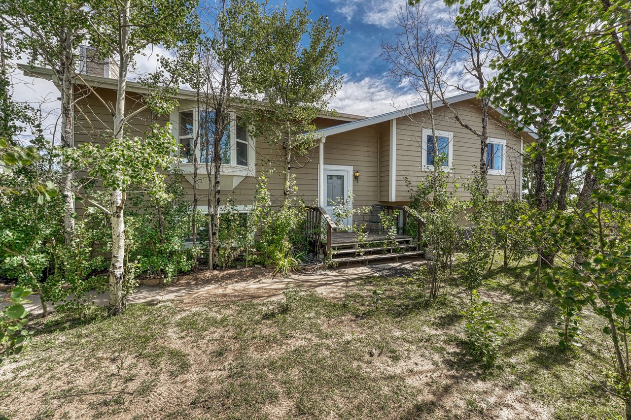 12895 Green Meadow Drive