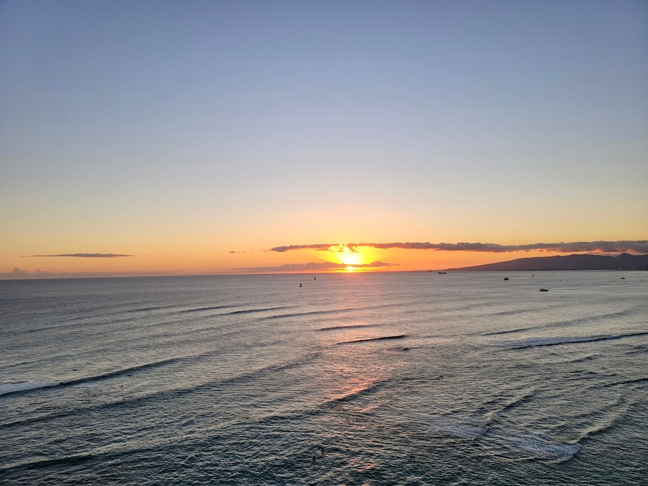 Colony Surf – Gold Coast Honolulu