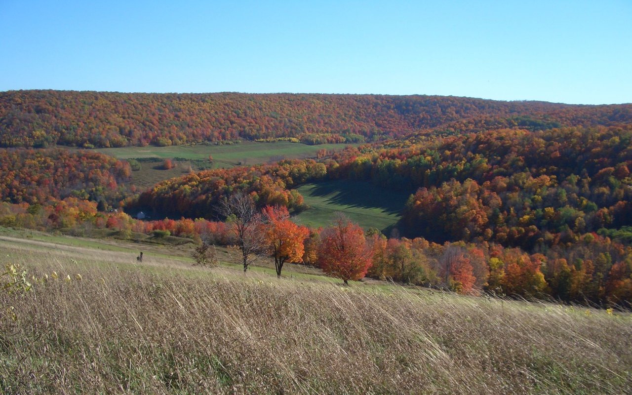 Potter County