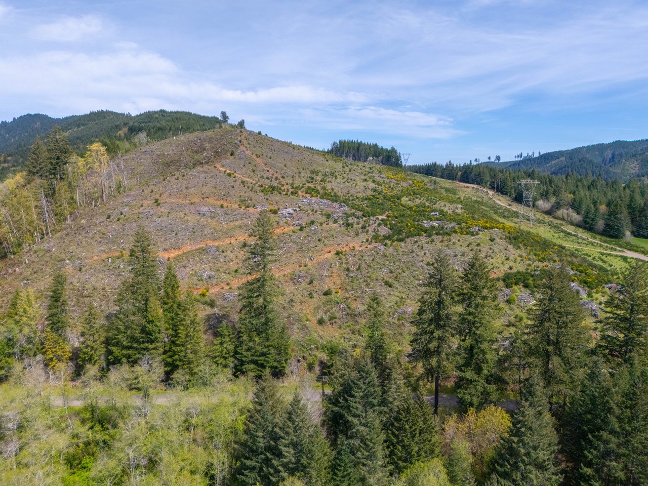 Nelson Mountain Meadows