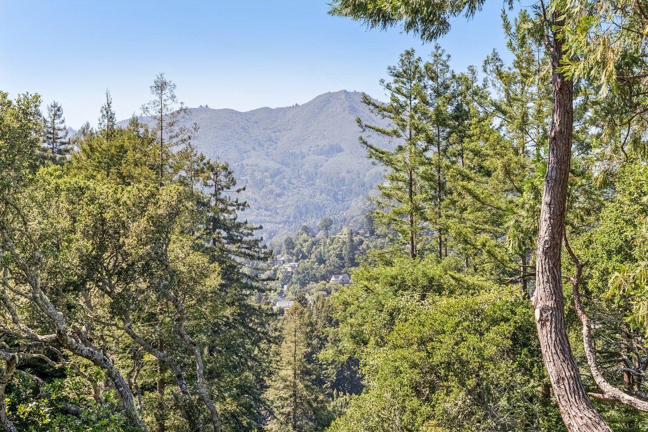 183 Molino Avenue, Mill Valley