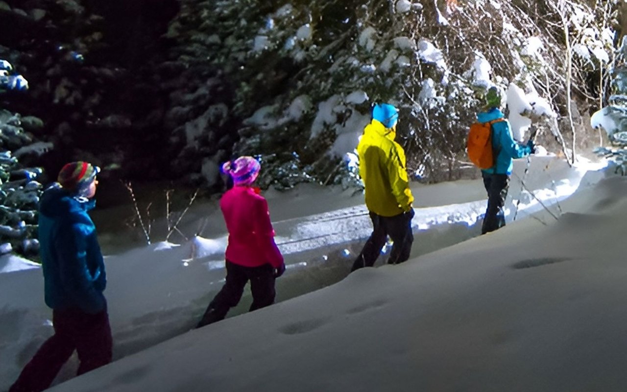 Snowshoers follow an illuminated trail through a snow-covered forest at night.